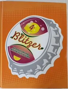 Blitzer's Introductory and Intermediate Alegebra 4th Edition - Picture 1 of 3
