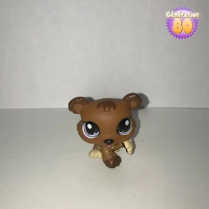 Littlest PetShop OURS 1556 BEAR BEAR Pet Shop X108 - Bild 1 von 3