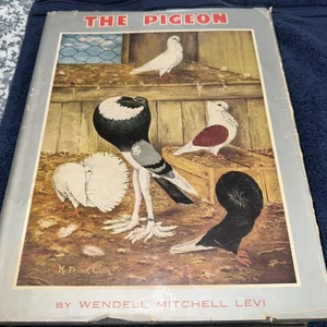 The Pigeon by Wendell Mitchell Levi ~ 1974 Reprint HC Book w/DJ - Bild 1 von 16