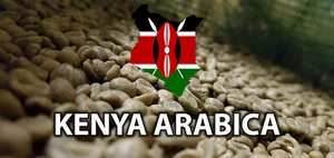 5 LB GRANOS DE CAFÉ VERDE KENIA KENIA 5 LIBRAS - ARÁBICA - Imagen 1 de 12