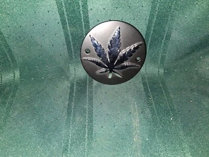 Cubierta de puntos de radio esféricos hoja de maceta WP571 - Imagen 1 de 2