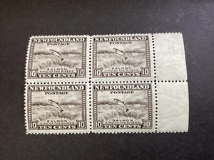 ICOLLECTZONE Canada Newfoundland 193 Block VF NH #2 - Picture 1 of 2