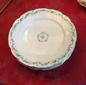 H. C. F. Koch & Co., Österreich, Karlsbader China, blaue Blumen, EUC - Bild 1 von 4