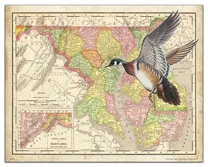 Wood Duck Hunting Maryland State Map Art Print Vintage Fishing Cabin Wall Decor - Picture 1 of 1