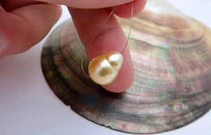 NEW EXOTIC GENUINE METALLIC GOLD SOUTH SEA PHILIPPINES CULTURED AA+ PEARL - 11.2 - Picture 1 of 11