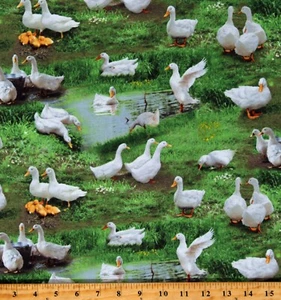Cotton Ducks Ducklings Birds Farm Animals Green Fabric Print by the Yard D371.72 - Picture 1 of 1
