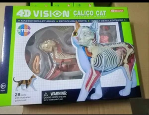 NEU 4D Master Jason Freeny Anatomy Ginger Cat 28CS Kunst Designer Spielzeug Figur - Bild 1 von 5