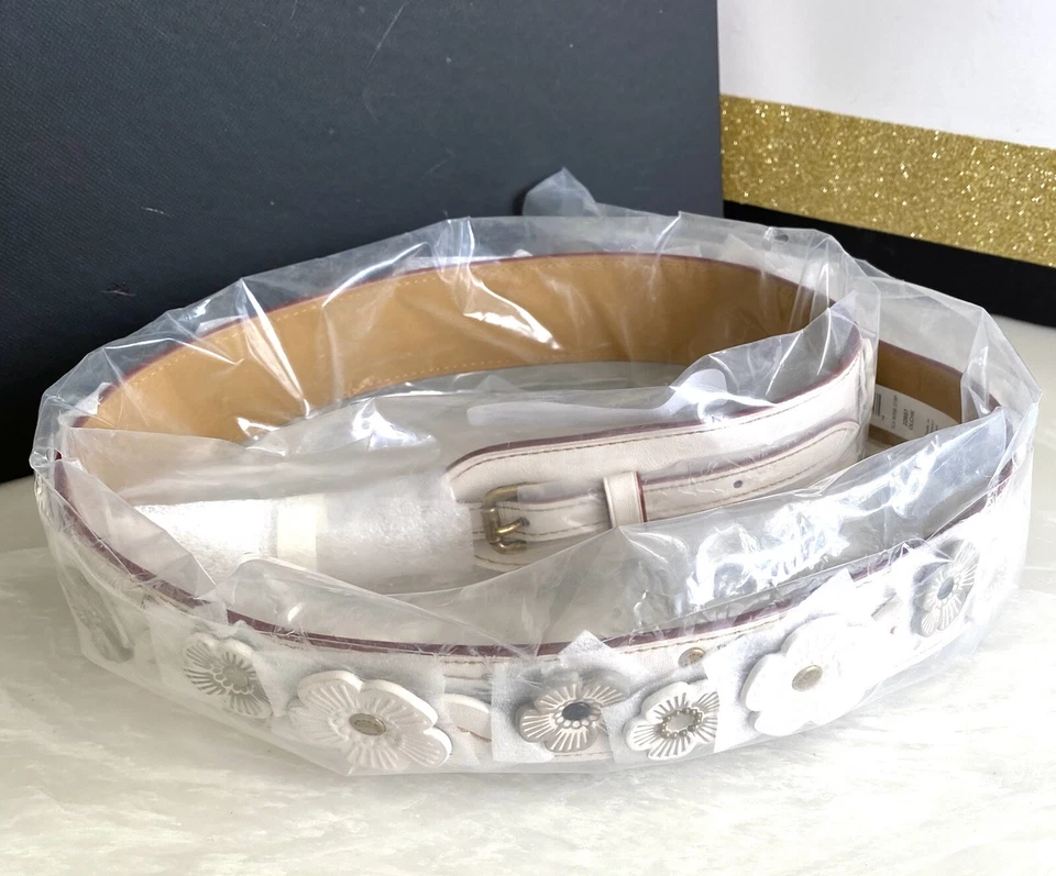 Coach Chalk Tea Rose Novelty Strap Brass 22887