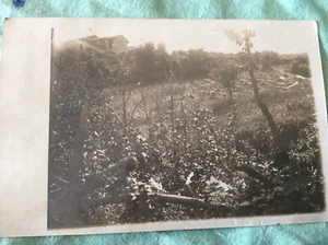 VINTAGE CARTOLINE E FOTO NON VIAGGIATE - Imagen 1 de 1