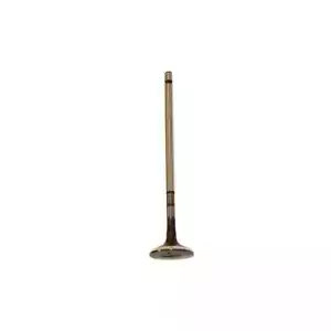 Engine Exhaust Valve fits 2009-2015 Toyota Corolla Prius Matrix DNJ ENGINE COMP - Picture 1 of 1
