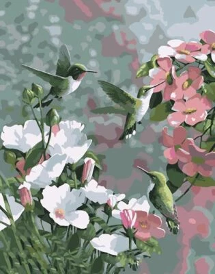 DIY Hummingbird Painting by Numbers for Adults Kit Canvas 50cm x 40cm - Image 1 of 3