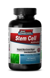antioxidant supplement - STEM CELL ACTIVATOR - spirulina capsules 1B - Picture 1 of 9