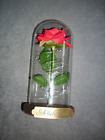 Schne Glaskuppel mit Rose beleuchtet *ich liebe Dich*