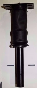 Cab Shock Air Spring International Sky Strut cab LoneStar ProStar 3806428C91 - Picture 1 of 7