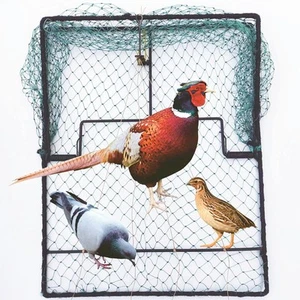 Taube Vogelfalle Wachtel Spatz Frühling 19,5"*15,5"*0,35", grün - Bild 1 von 6