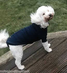 SUÉTER TEJIDO TÉRMICO ANCOL AZUL CÁLIDO PERRO CACHORRO - NUECES SOBRE MUTTS - Imagen 1 de 4