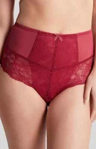 BN PANACHE eléctrico magenta IMOGEN cintura alta detalle encaje bragas 10 NUEVO - Imagen 1 de 3