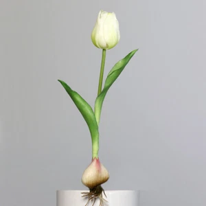 Tulipano Finto Con Bulbo Bianco Verde H. 25Cm DPI - Foto 1 di 1