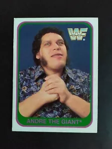 WWF MERLIN 1991 TRADING CARDS WRESTLING ANDRE THE GIANT n 35/150 OTTIMA - Imagen 1 de 2