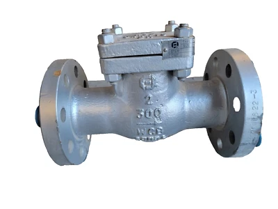 Válvula de retención con brida Crown Fusion con cuerpo y cubierta de acero fundido, ajuste NACE, HF Sea Foto 1 de 3