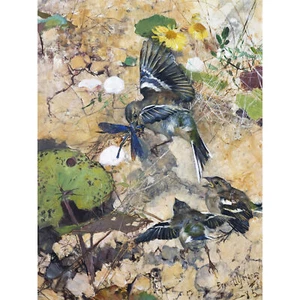 Liljefors Buchfinken Libellen Vögel Natur großer Druck 46x61 cm - Bild 1 von 5