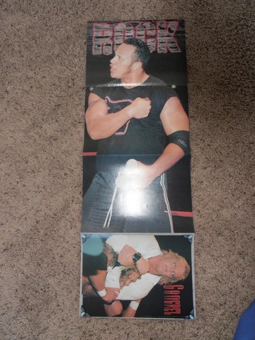 THE ROCK UNDERTAKER DDP DOUBLE-SIDED wrestling POSTER 31x11 wwf Cover