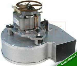 VENTILADOR CALDERA FERROLI OPTIMA 601 701 Y 801 800440 FUE 39800440 1 AÑO DE GARANTÍA - Imagen 1 de 1