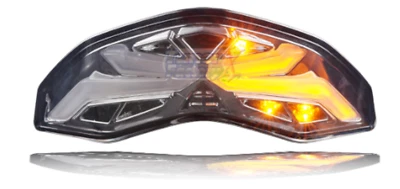 Luz trasera Fit Ducati Monster 1200 1200S 2019 2020 señal humo marca electrónica 2014-21 Foto 1 de 4