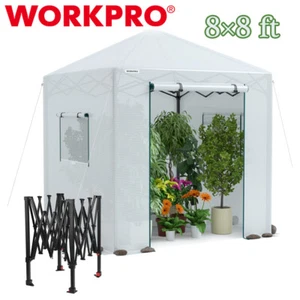 WORKPRO 8' x 8' Heavy Duty Walk-in Greenhouse Instant Pop-up Garden House Canopy - Picture 1 of 12