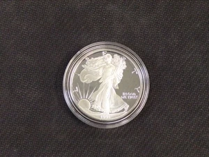 1991 US MINT AMERICAN SILVER EAGLE $1 DOLLAR 1 OZ .999 SILVER PROOF COIN W/ COA - Picture 1 of 6