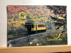 Cheat Mountain Salamander, Durban & Greenbrier: West Virginia - Vintage Postkarte - Bild 1 von 3