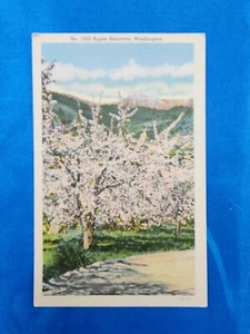 Unused 3 1/2 x 5 1/2 Postcard Apple Blossoms Washington - Picture 1 of 2