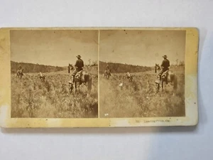 Vistas estereoscópicas de lazo de ganado Col Kilburn Brothers Littleton N.H. - Imagen 1 de 2