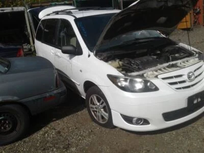 Puntal de conductor delantero compatible con 04-06 MAZDA MPV 1603787 Foto 1 de 4