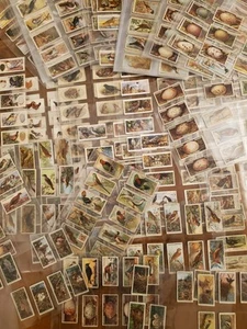 Job Lot of Approximately 450 Cigarette Cards on the Theme of BIRDS - Picture 1 of 6