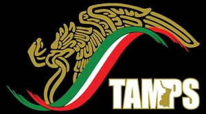 Calcomanía de vinilo pegatina de vinilo escudo de coche Gobierno Mex Águila estampillas Tamaulipas - Imagen 1 de 6