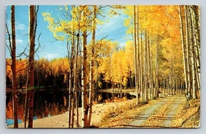 Grüße aus Poulin Esso Service Bonfield Ontario Postkarte verschickt - Bild 1 von 2