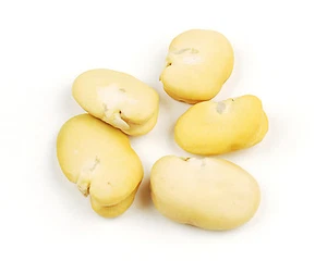 Whole Peeled Fava Beans 2 lb Habas Beans Gluten Free Dried Beans - Picture 1 of 6