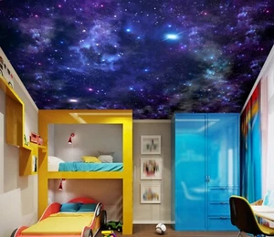 3D Blue Starlight I5645 Ceiling WallPaper Murals Wall Print Decal Deco Erin 2023 - Picture 1 of 5