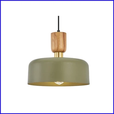 时尚大号绿色吊坠灯具-可调节高度适用于现代住宅 — 第 1/4 张图片