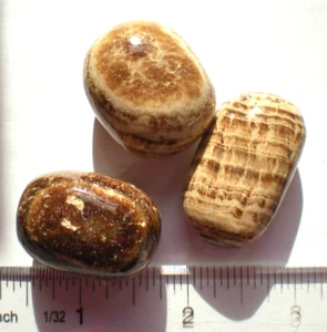 Aragonite - Peru - 3 Tumbled Stones rt397a - Picture 1 of 3