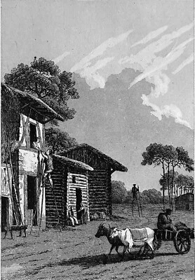 HABITATION et BERGERS des LANDES (sur leurs ÉCHASSES) - Gravure du 19e siècle - Photo 1/2