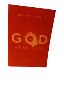God in the Whirlwind (Paperback book, 2014) David F. Wells - Imagen 1 de 1