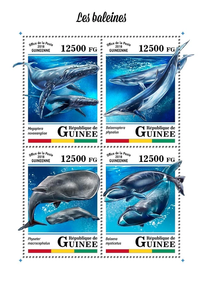 Whales Aquatic Placental Marine Mmmals MNH Stamps 2018 Guinea M/S - Изображение 1 из 1