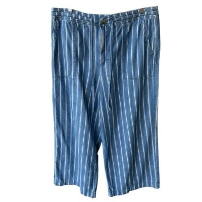 Pantalones Cortos American Eagle Pierna Ancha Azul Blanco Rayas Cambray Talla 14 Regular Foto 1 de 4