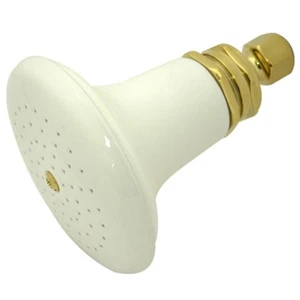 Elements Of Design EDP502 5" Single Function Shower Head - Brass - Picture 1 of 1