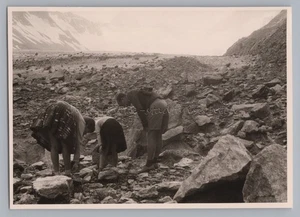 Oberaargletscher Schweiz 1960 - Geröllfeld auf dem Gletscher - Foto - Picture 1 of 2