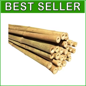 Eco-Friendly Bamboo Garden Stakes - 25 pcs, 6ft Long Natural Support Poles - Picture 1 of 3