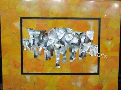 15 x 30 Inches Marble Coffee Table Top MOP Overlay Work Back Splash for Hallway - Image 1 of 4