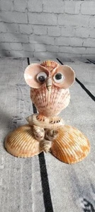 Vintage Hand Crafted Sea Shell Owl Figurine Shellcraft Artistries By Elsie, Fla. - Picture 1 of 7